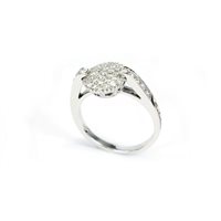 Ring Salvini Woman in White Gold Diamante 0.63 Ct 20031812-16 - 20031812-16